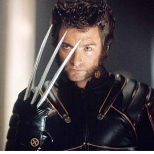 lobezno148's profile picture. 