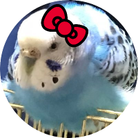 るのじ (@ruuk2626) 's Twitter Profile Photo るのじ (@ruuk2626) 's Twitter Profile Photo