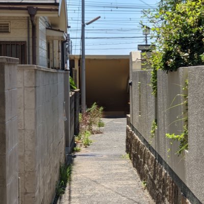 itaya_A's profile picture. シフォン主義者/タルト教団