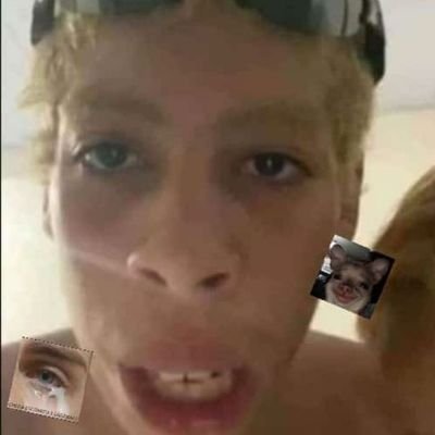 gemeodobem's profile picture. 😎🐓🥰