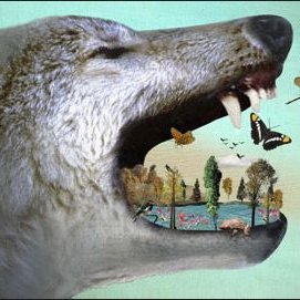 RateMyPredJourn's profile picture. #PredatoryJournal sending you garbage emails? We rate #AcademicSpam for #MedTwitter and #AcademicTwitter. Tag us to get rated!