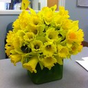 Amanda Greeson - @naismith24 - Twitter