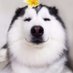 wjd2077 (@wjf2002) Twitter profile photo