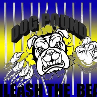 Fisk U DogPound L.I.V.E.S(Lifting Individual Visions Through Events and Service) by hosting events,serving the community,and promoting school spirit💙💛🐶