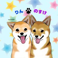 柴犬りん🔔龍之介(のすけ)🐉 (@shiba_rin1107) 's Twitter Profile Photo