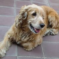 Carme Martin Torres (@carmemartintorr) 's Twitter Profile