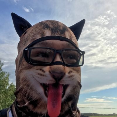KingslayerC's profile picture.