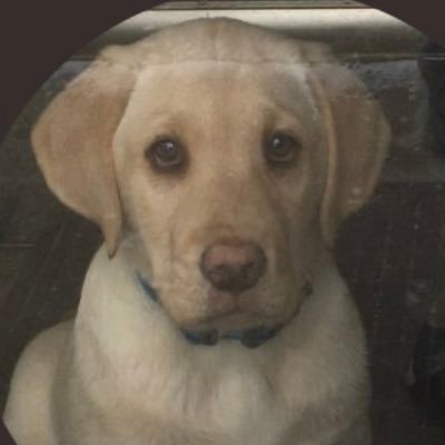 Reactionzss's profile picture. 🇨🇦 |23| Fortnite: 1600 wins/multiple WC and CC placements | Top 50-300 on 10/13 Gta premium race’s