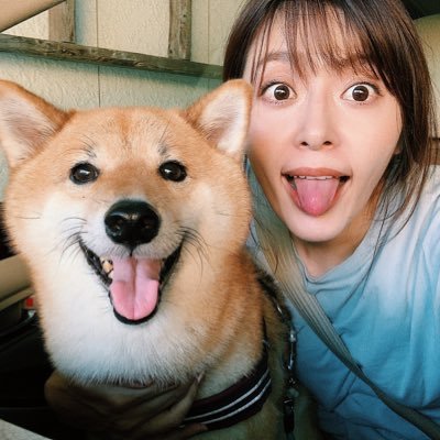 井上志帆子/柴犬botさんのプロフィール画像