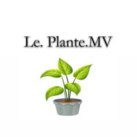 le.plante.MV (@mvplante) 's Twitter Profile
