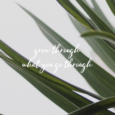 greenleaf1404's profile picture. amalsholih