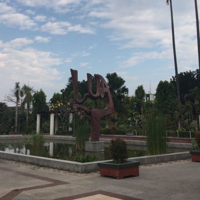 smallflower_cat's profile picture. 