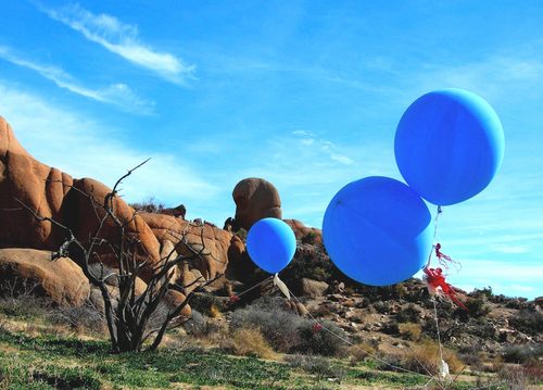 IlanaGustafson's profile picture. I make faces and put on costumes. I like to be outside and look at bugs, trees, and bodies of water.