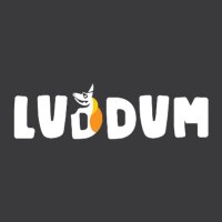 LUDDUM - A Different Gaming Experience (@luddumstore) 's Twitter Profile
