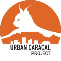 Urban Caracal Project(@urbancaracal) 's Twitter Profile Photo