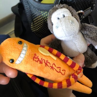 KBpY1428bLaDCDp's profile picture. 