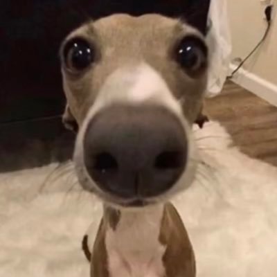 Robecarry7123's profile picture. 