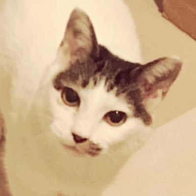 kinomiさんのプロフィール画像