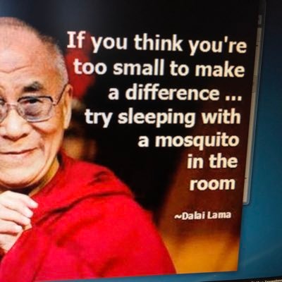 Willy4Stocks's profile picture. 