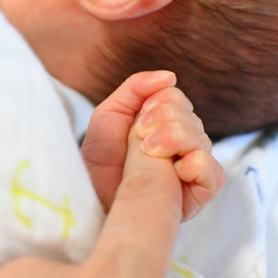 こんにちは。食べる事、料理が好きです。一歳男の子のママです。よろしくおねがいします☺️! 絵本ごはんも作ってます。| YouTube | テーブルの上に絵本の世界を