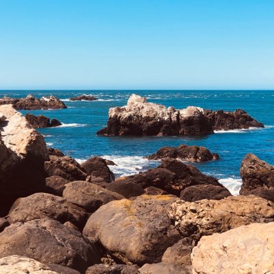 gitanisimo's profile picture. 