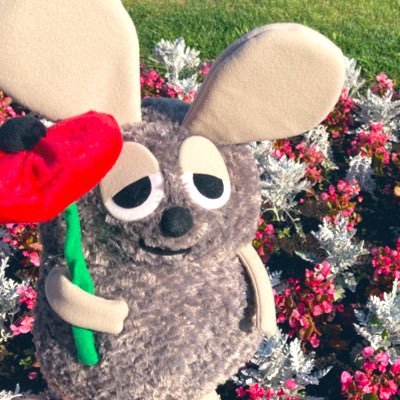 まっきぃさんのプロフィール画像