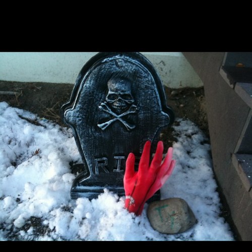 chinamanic's profile picture. 