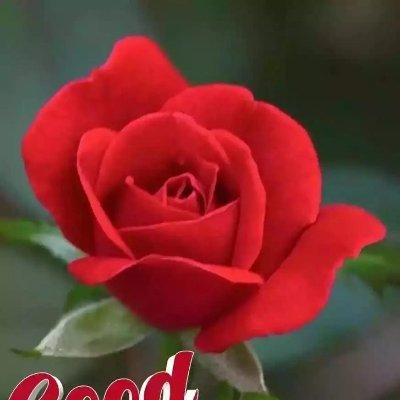 anantsingh7979's profile picture. 