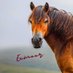 Exmoor4all (@exmoor4all) Twitter profile photo Exmoor4all (@exmoor4all) Twitter profile photo