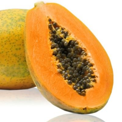 PRODUCTOR DE PAPAYA PARA EXPORTACIÓN