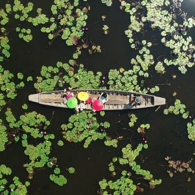 anano7171's profile picture. 