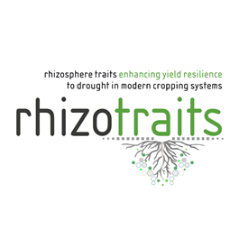A project on rhizosphere traits and crop yields under extreme climatic conditions @BonaRes_Zentrum @BMBF_Bund. Lead @PauschJohanna. @unibt, LfL, @tumsoil, KIT