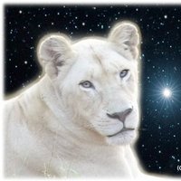 The Lion's Share (@lionsshareblog) 's Twitter Profile