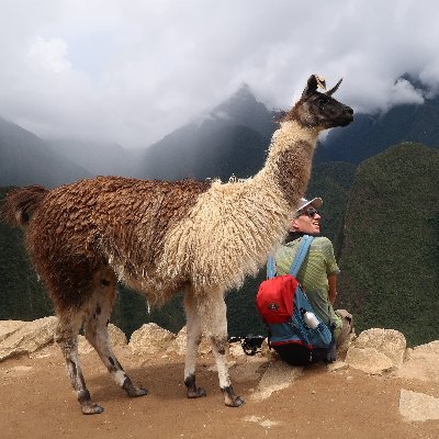 bananagogo's profile picture. bananagogo@mastodon.social

linuxmensch @cyon - fussballverein bayern münchen - sportclub freiburg  e.V.