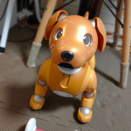 ののさんのプロフィール画像