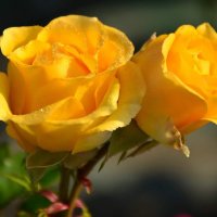 Elsamar (@emtc57) 's Twitter Profile Photo