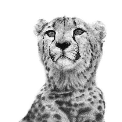 Fine Art Wildlife Artist, specialising in charcoal artworks. Supporting conservation through Art.