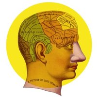 Chemosensory Neuroanatomy Lab (@chemosensory) 's Twitter Profile