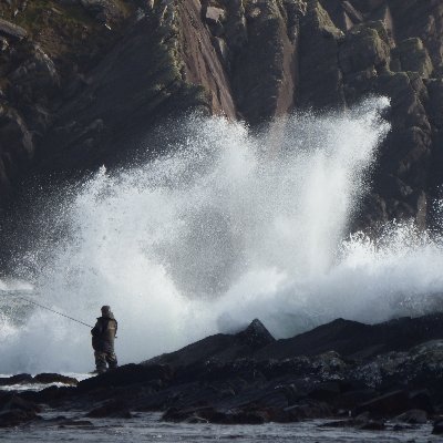 Finally escaped the mental health system through retirement. Passionate about marine conservation. Landlocked in Stafford, Love Llyn peninsular and County Kerry