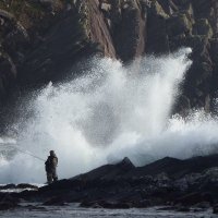 Michael Brazendale (@brazendale5) 's Twitter Profile