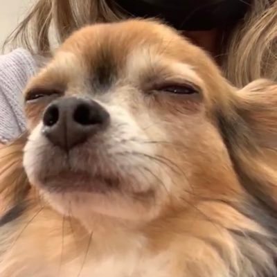 katlyn_nguyenn's profile picture. TAMU 18'