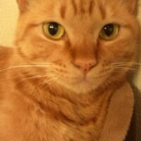 みきどん (@miki_m_1102) 's Twitter Profile Photo みきどん (@miki_m_1102) 's Twitter Profile Photo