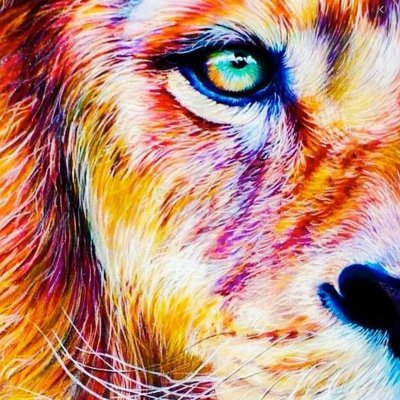 cryptonomicz's profile picture.