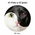 Solopar (@solopar53137293) Twitter profile photo Solopar (@solopar53137293) Twitter profile photo