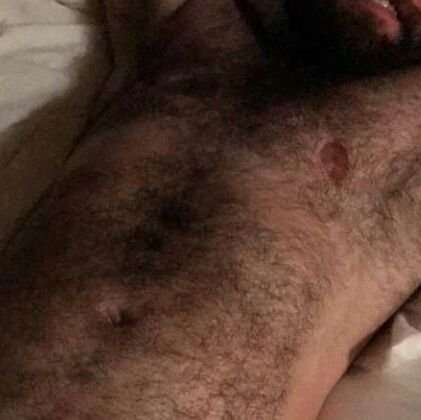 queer trans man · somewhere between an otter and a bear