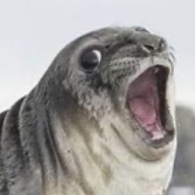 m3m348993173's profile picture. 