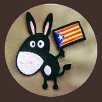 Gamba amb samarreta @ConsellxRep(@datilindepe) 's Twitter Profile Photo