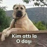 hasan sibel cift (@hasansibelcift1) Twitter profile photo