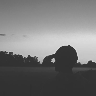 waldemaredmo's profile picture. 