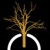 Oakland Digital (@oaklanddigital) Twitter profile photo Oakland Digital (@oaklanddigital) Twitter profile photo